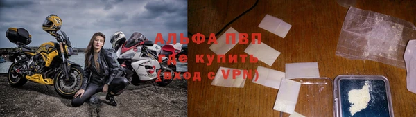 ГАЛЛЮЦИНОГЕННЫЕ ГРИБЫ Алзамай
