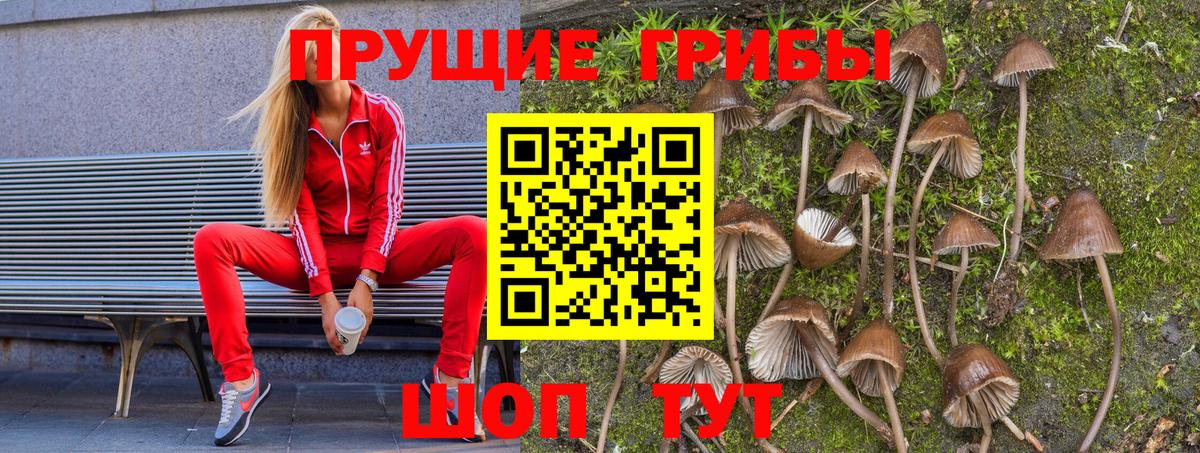 Псилоцибиновые грибы Psilocybine cubensis  Вход с VPN  Шадринск 